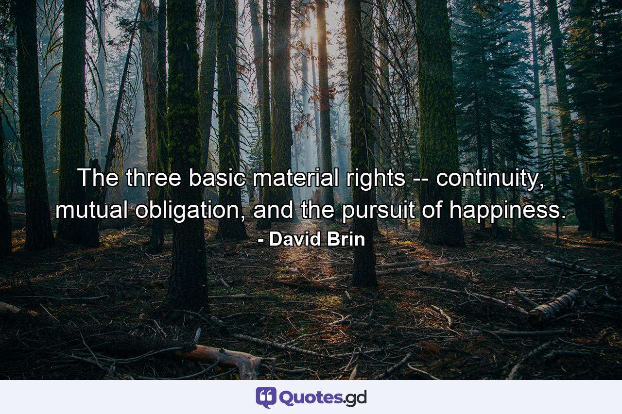 The three basic material rights -- continuity, mutual obligation, and the pursuit of happiness. - Quote by David Brin