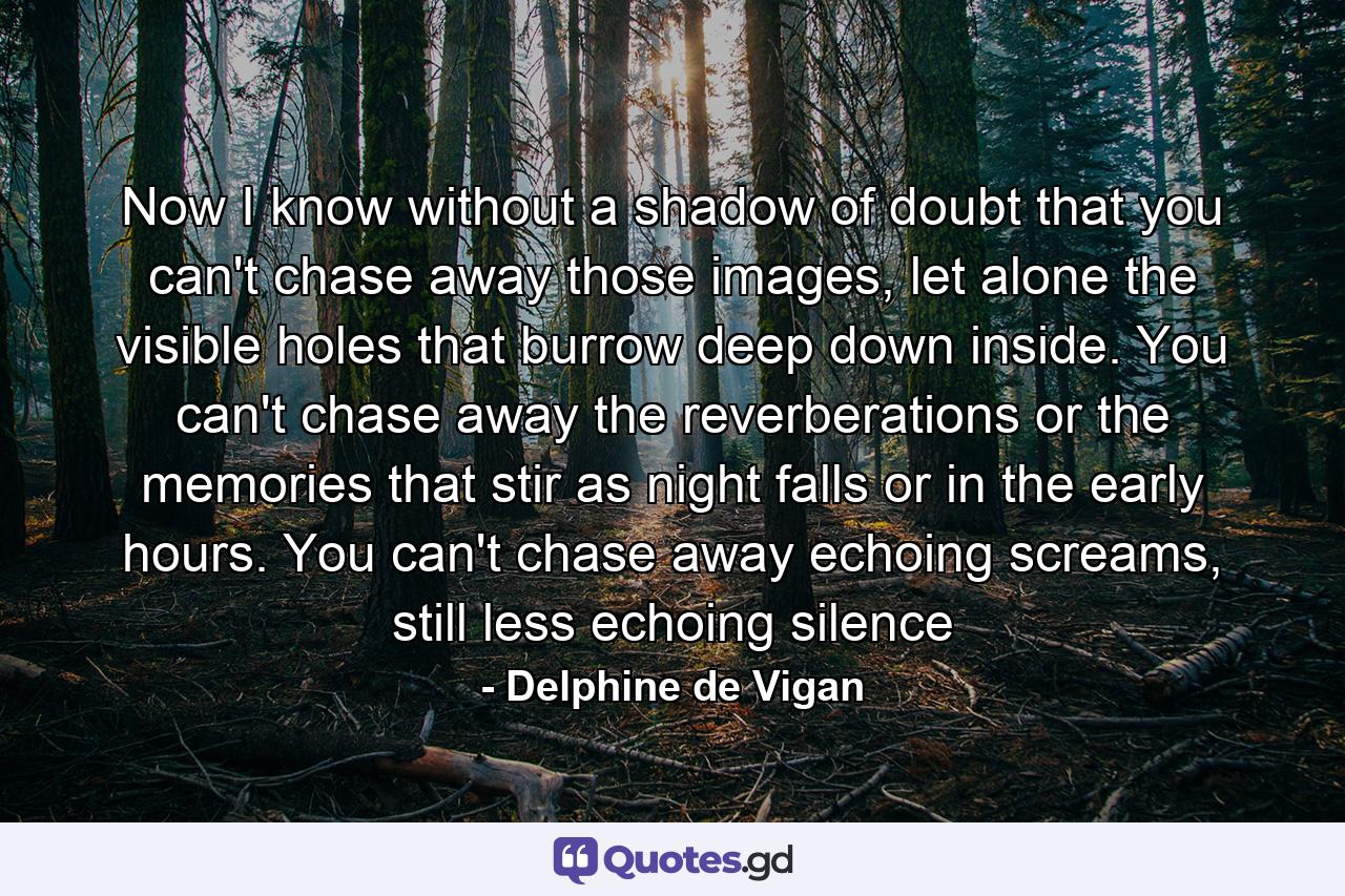 Now I know without a shadow of doubt that you can't chase away those images, let alone the visible holes that burrow deep down inside. You can't chase away the reverberations or the memories that stir as night falls or in the early hours. You can't chase away echoing screams, still less echoing silence - Quote by Delphine de Vigan