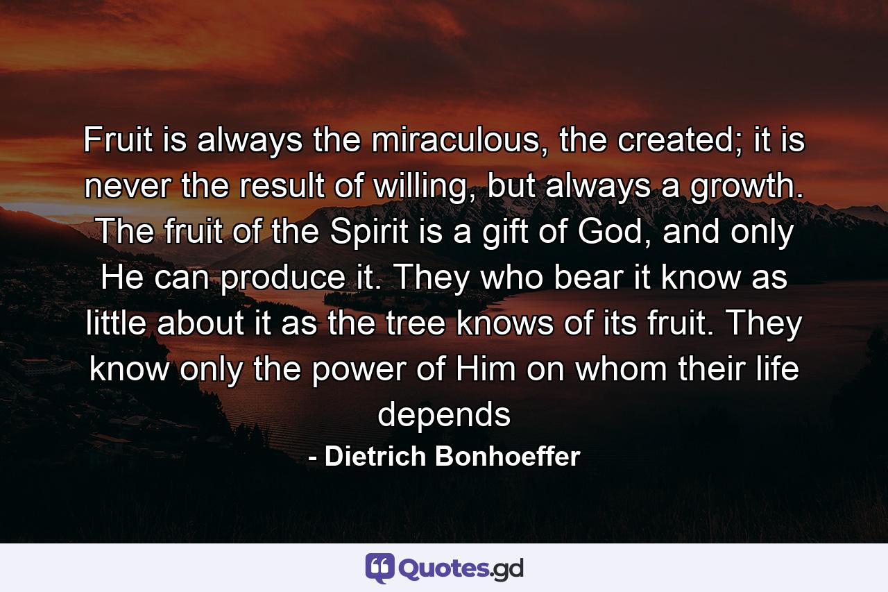 Fruit is always the miraculous, the created; it is never the result of willing, but always a growth. The fruit of the Spirit is a gift of God, and only He can produce it. They who bear it know as little about it as the tree knows of its fruit. They know only the power of Him on whom their life depends - Quote by Dietrich Bonhoeffer