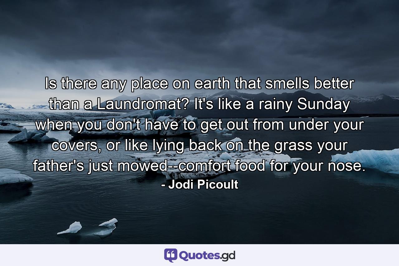 Is there any place on earth that smells better than a Laundromat? It's like a rainy Sunday when you don't have to get out from under your covers, or like lying back on the grass your father's just mowed--comfort food for your nose. - Quote by Jodi Picoult