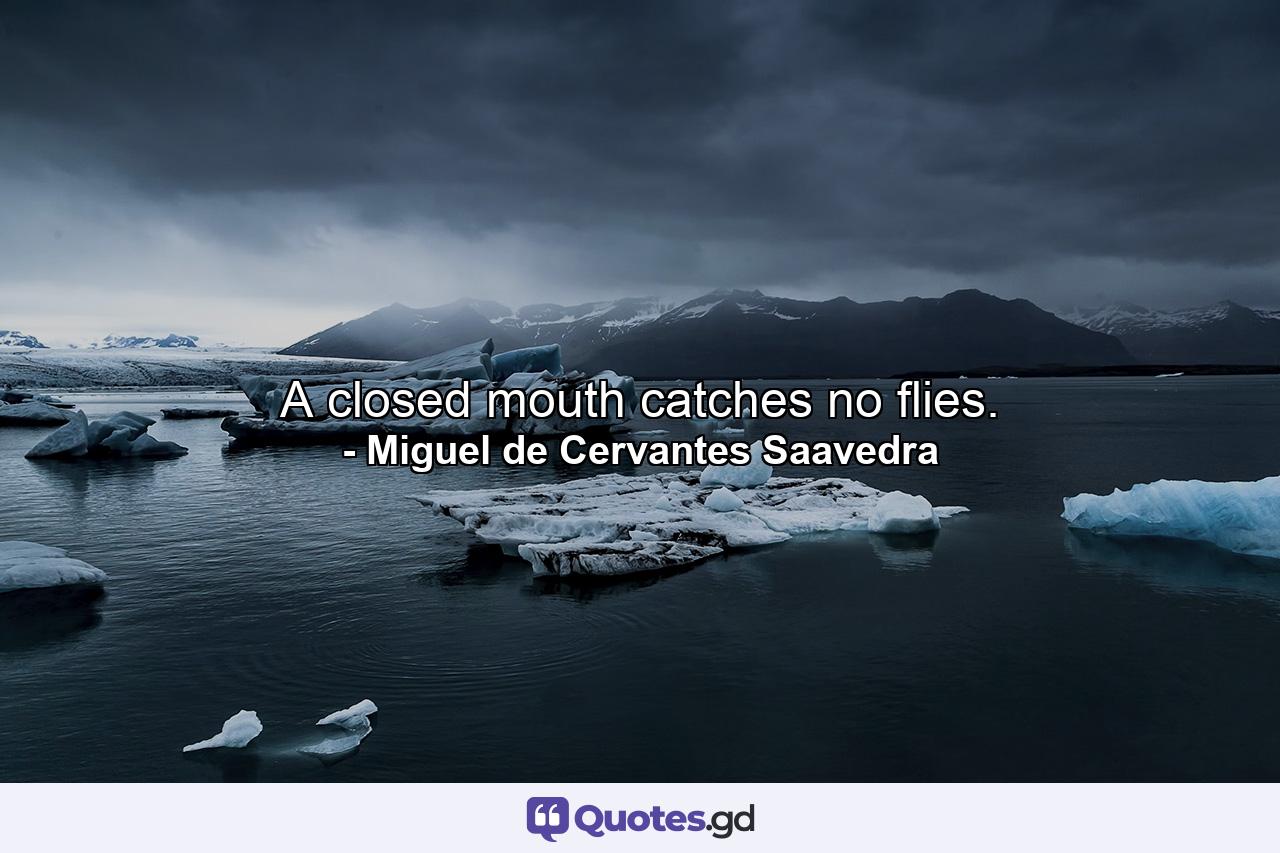 A closed mouth catches no flies. - Quote by Miguel de Cervantes Saavedra