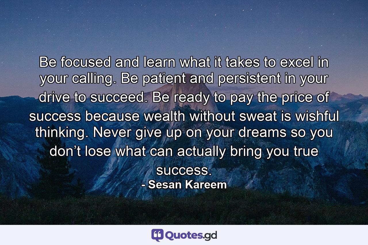 Be focused and learn what it takes to excel in your calling. Be patient and persistent in your drive to succeed. Be ready to pay the price of success because wealth without sweat is wishful thinking. Never give up on your dreams so you don’t lose what can actually bring you true success. - Quote by Sesan Kareem