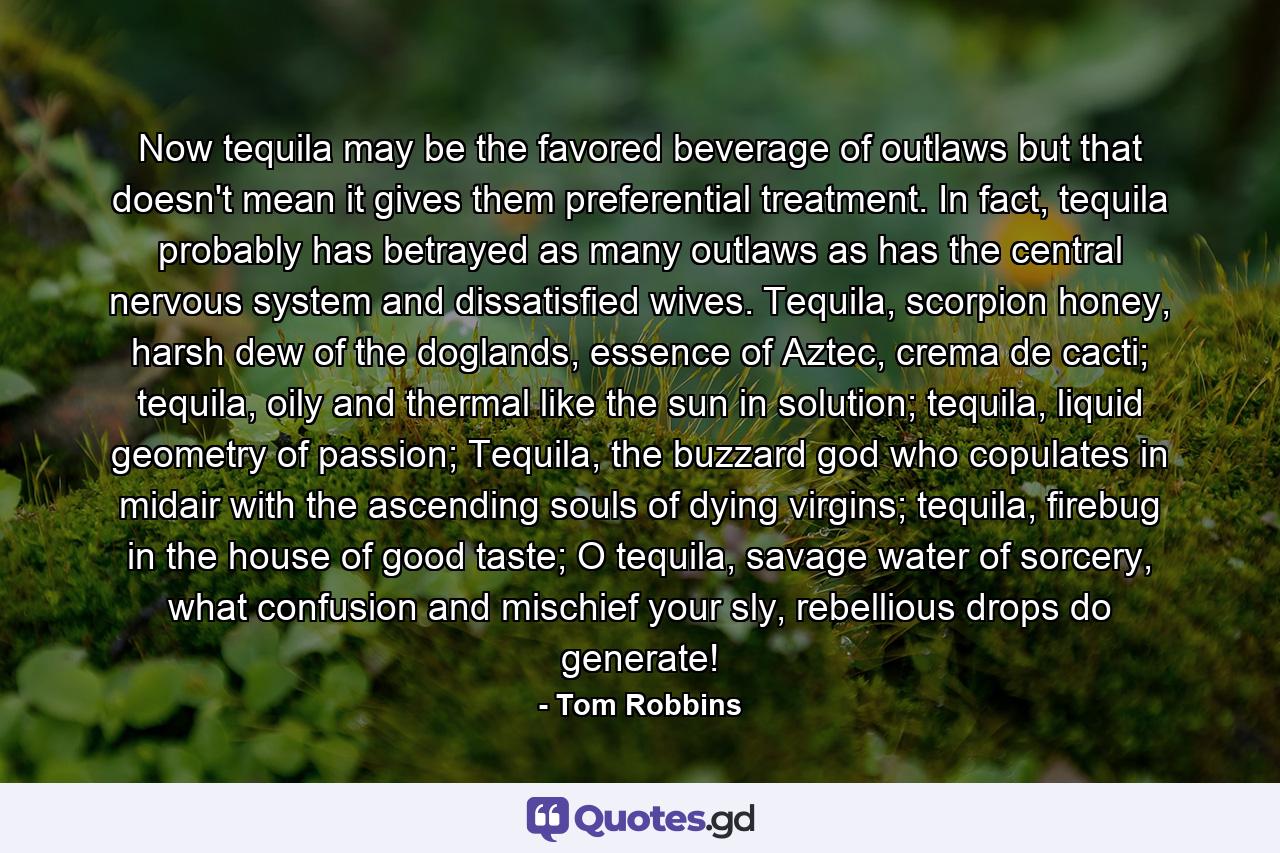 Now tequila may be the favored beverage of outlaws but that doesn't mean it gives them preferential treatment. In fact, tequila probably has betrayed as many outlaws as has the central nervous system and dissatisfied wives. Tequila, scorpion honey, harsh dew of the doglands, essence of Aztec, crema de cacti; tequila, oily and thermal like the sun in solution; tequila, liquid geometry of passion; Tequila, the buzzard god who copulates in midair with the ascending souls of dying virgins; tequila, firebug in the house of good taste; O tequila, savage water of sorcery, what confusion and mischief your sly, rebellious drops do generate! - Quote by Tom Robbins