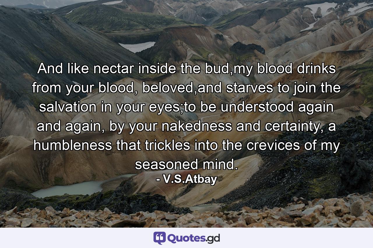 And like nectar inside the bud,my blood drinks from your blood, beloved,and starves to join the salvation in your eyes;to be understood again and again, by your nakedness and certainty, a humbleness that trickles into the crevices of my seasoned mind. - Quote by V.S.Atbay