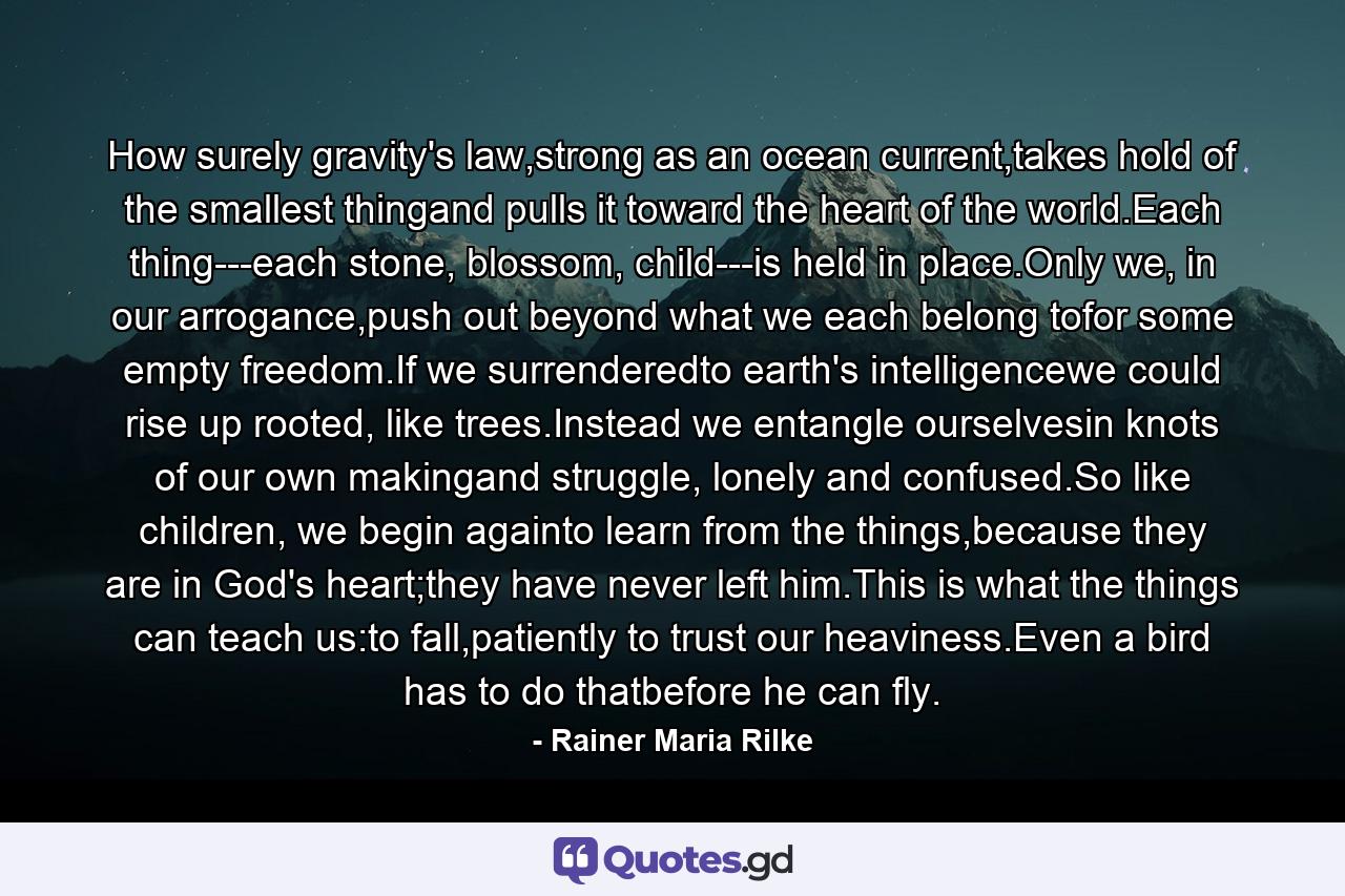 How surely gravity's law,strong as an ocean current,takes hold of the smallest thingand pulls it toward the heart of the world.Each thing---each stone, blossom, child---is held in place.Only we, in our arrogance,push out beyond what we each belong tofor some empty freedom.If we surrenderedto earth's intelligencewe could rise up rooted, like trees.Instead we entangle ourselvesin knots of our own makingand struggle, lonely and confused.So like children, we begin againto learn from the things,because they are in God's heart;they have never left him.This is what the things can teach us:to fall,patiently to trust our heaviness.Even a bird has to do thatbefore he can fly. - Quote by Rainer Maria Rilke