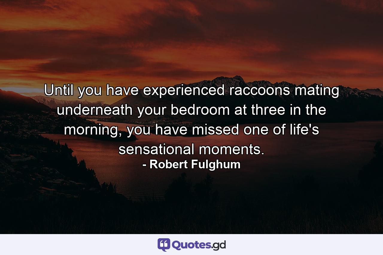 Until you have experienced raccoons mating underneath your bedroom at three in the morning, you have missed one of life's sensational moments. - Quote by Robert Fulghum