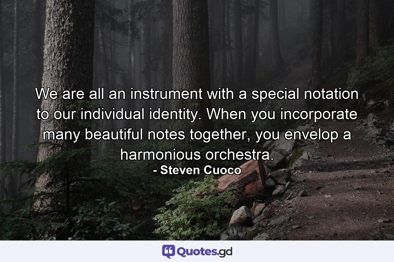 We are all an instrument with a special notation to our individual identity. When you incorporate many beautiful notes together, you envelop a harmonious orchestra. - Quote by Steven Cuoco