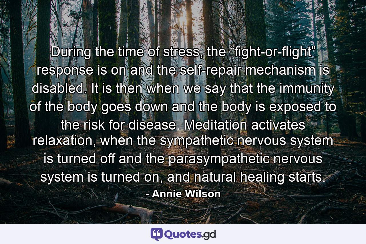 During the time of stress, the “fight-or-flight” response is on and the self-repair mechanism is disabled. It is then when we say that the immunity of the body goes down and the body is exposed to the risk for disease. Meditation activates relaxation, when the sympathetic nervous system is turned off and the parasympathetic nervous system is turned on, and natural healing starts. - Quote by Annie Wilson