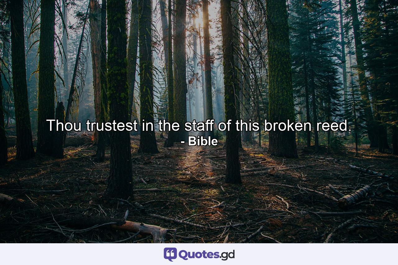 Thou trustest in the staff of this broken reed. - Quote by Bible