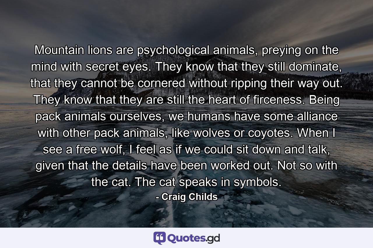 Mountain lions are psychological animals, preying on the mind with secret eyes. They know that they still dominate, that they cannot be cornered without ripping their way out. They know that they are still the heart of firceness. Being pack animals ourselves, we humans have some alliance with other pack animals, like wolves or coyotes. When I see a free wolf, I feel as if we could sit down and talk, given that the details have been worked out. Not so with the cat. The cat speaks in symbols. - Quote by Craig Childs