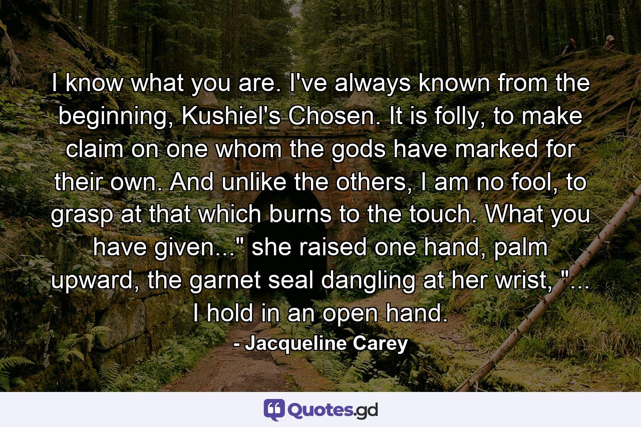 I know what you are. I've always known from the beginning, Kushiel's Chosen. It is folly, to make claim on one whom the gods have marked for their own. And unlike the others, I am no fool, to grasp at that which burns to the touch. What you have given...