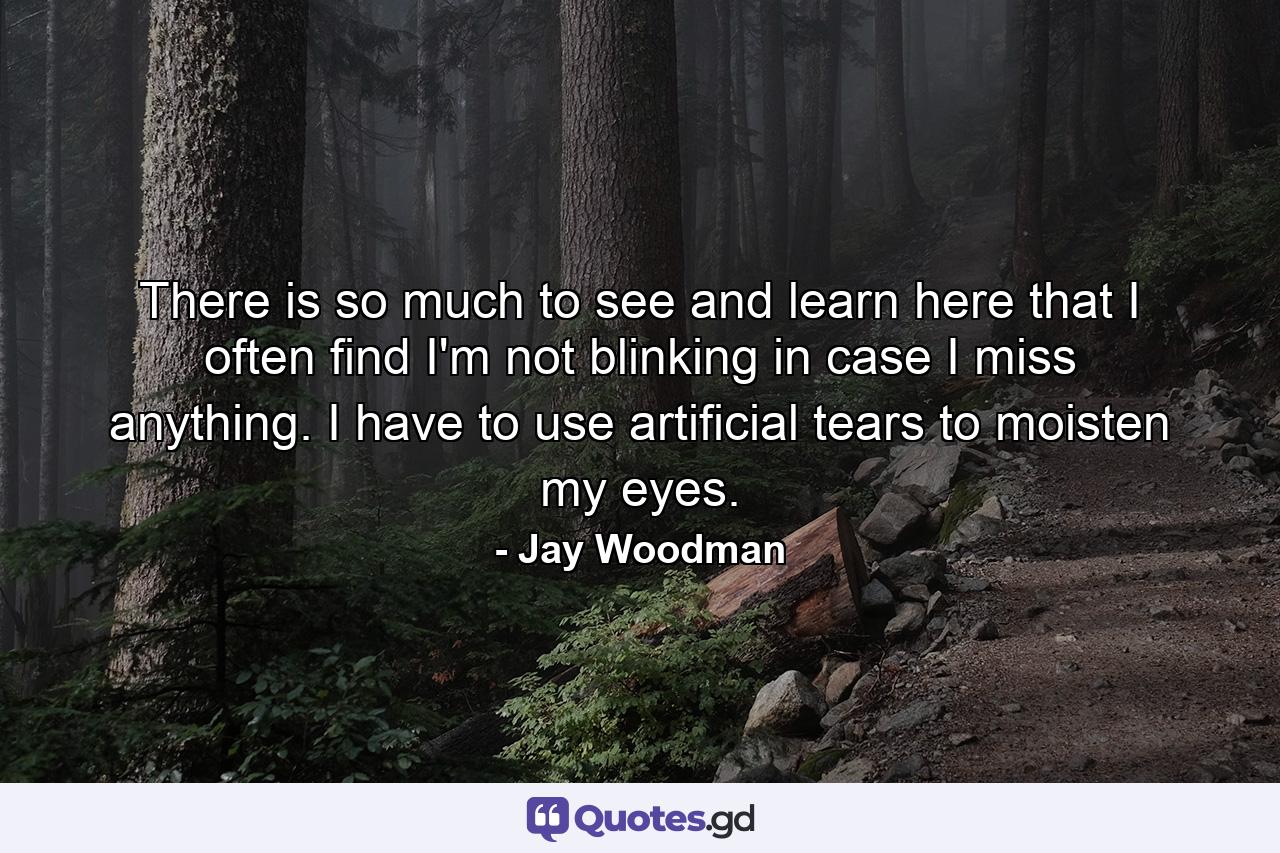 There is so much to see and learn here that I often find I'm not blinking in case I miss anything. I have to use artificial tears to moisten my eyes. - Quote by Jay Woodman