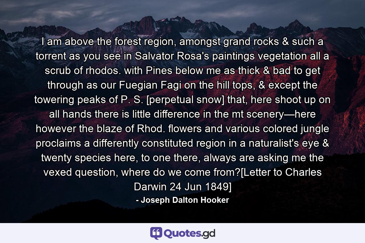 I am above the forest region, amongst grand rocks & such a torrent as you see in Salvator Rosa's paintings vegetation all a scrub of rhodos. with Pines below me as thick & bad to get through as our Fuegian Fagi on the hill tops, & except the towering peaks of P. S. [perpetual snow] that, here shoot up on all hands there is little difference in the mt scenery—here however the blaze of Rhod. flowers and various colored jungle proclaims a differently constituted region in a naturalist's eye & twenty species here, to one there, always are asking me the vexed question, where do we come from?[Letter to Charles Darwin 24 Jun 1849] - Quote by Joseph Dalton Hooker