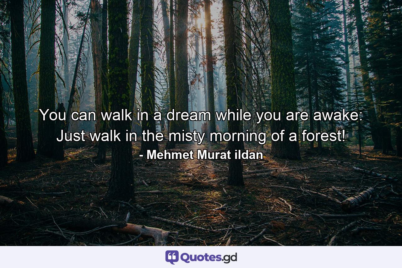 You can walk in a dream while you are awake: Just walk in the misty morning of a forest! - Quote by Mehmet Murat ildan