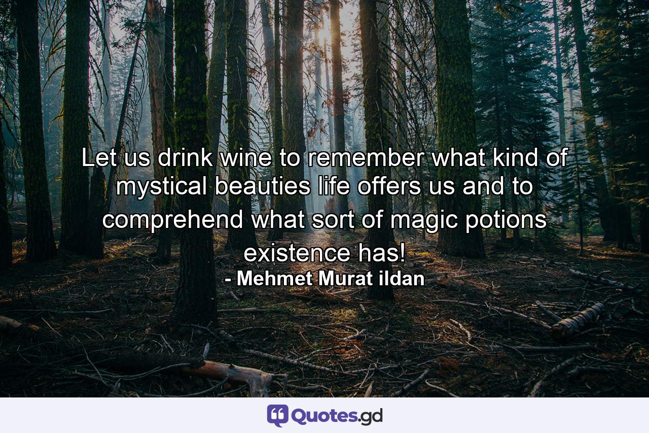 Let us drink wine to remember what kind of mystical beauties life offers us and to comprehend what sort of magic potions existence has! - Quote by Mehmet Murat ildan