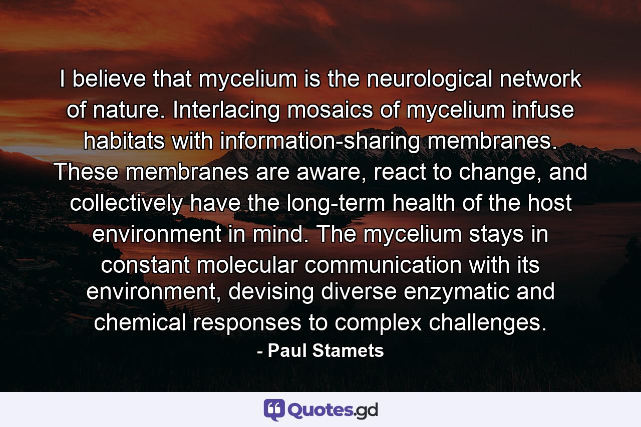 I believe that mycelium is the neurological network of nature. Interlacing mosaics of mycelium infuse habitats with information-sharing membranes. These membranes are aware, react to change, and collectively have the long-term health of the host environment in mind. The mycelium stays in constant molecular communication with its environment, devising diverse enzymatic and chemical responses to complex challenges. - Quote by Paul Stamets