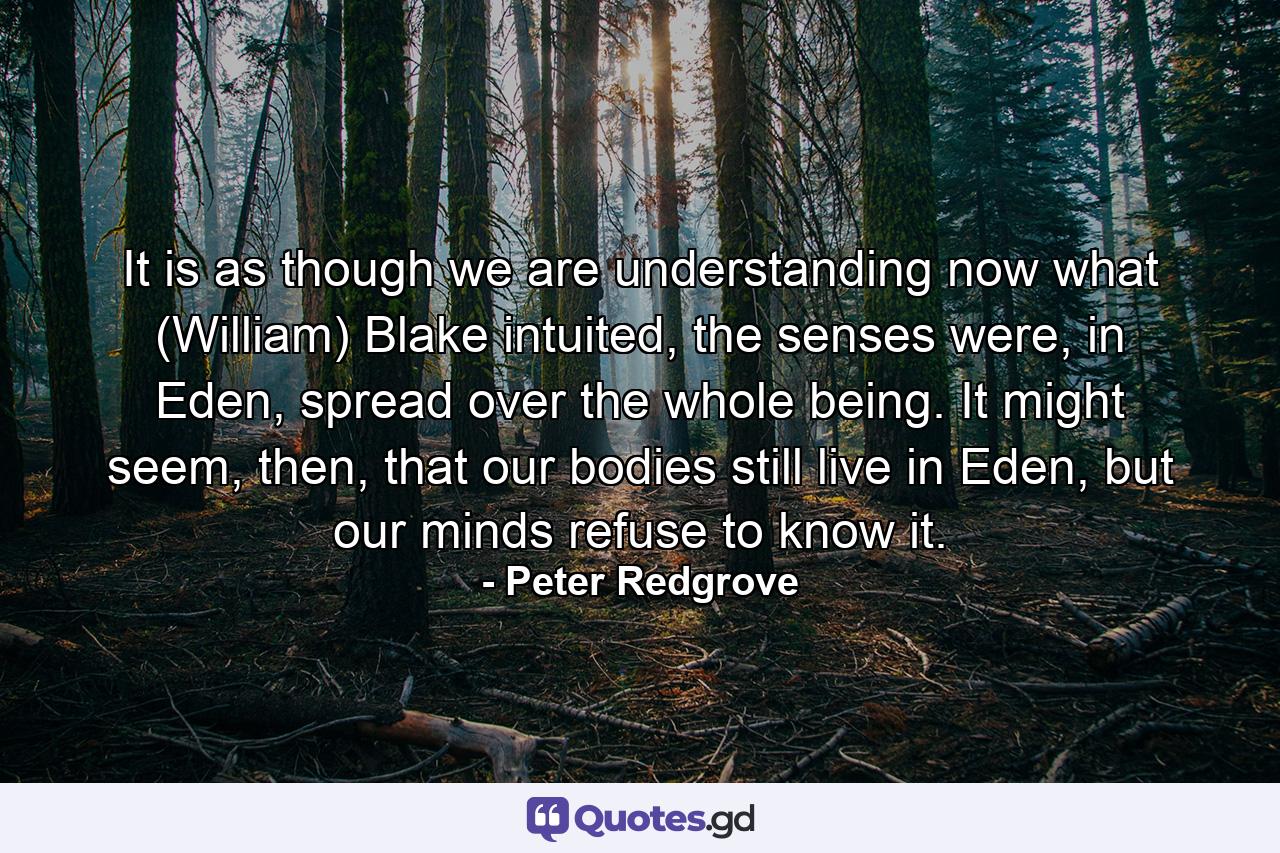 It is as though we are understanding now what (William) Blake intuited, the senses were, in Eden, spread over the whole being. It might seem, then, that our bodies still live in Eden, but our minds refuse to know it. - Quote by Peter Redgrove