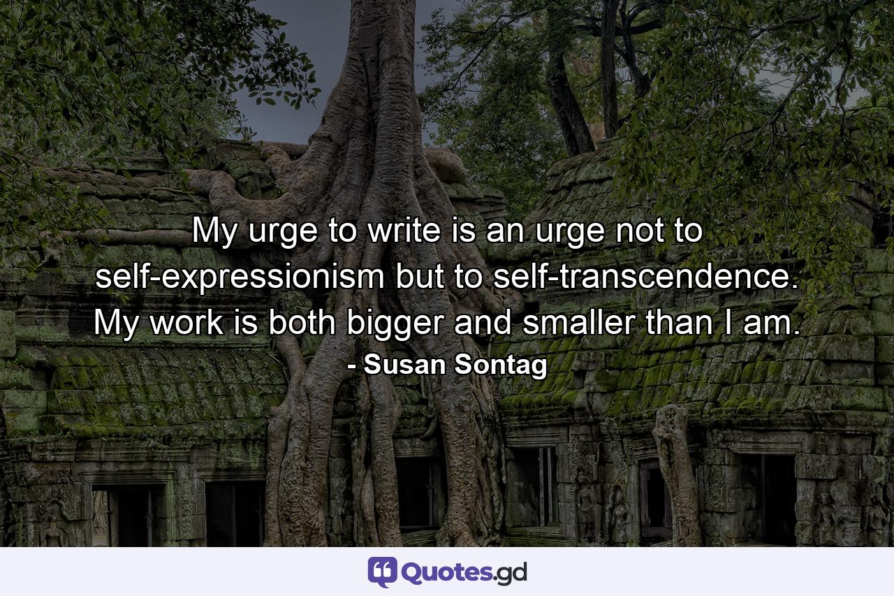 My urge to write is an urge not to self-expressionism but to self-transcendence. My work is both bigger and smaller than I am. - Quote by Susan Sontag