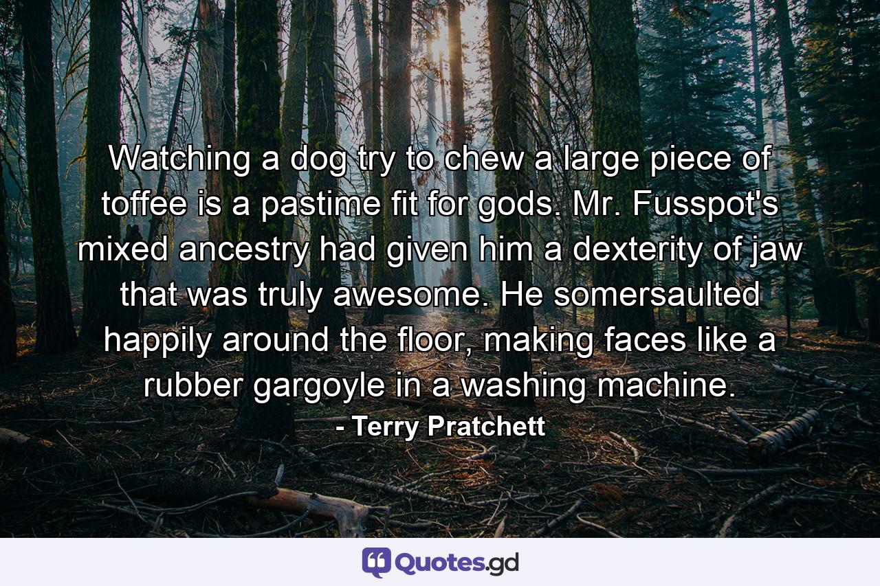 Watching a dog try to chew a large piece of toffee is a pastime fit for gods. Mr. Fusspot's mixed ancestry had given him a dexterity of jaw that was truly awesome. He somersaulted happily around the floor, making faces like a rubber gargoyle in a washing machine. - Quote by Terry Pratchett