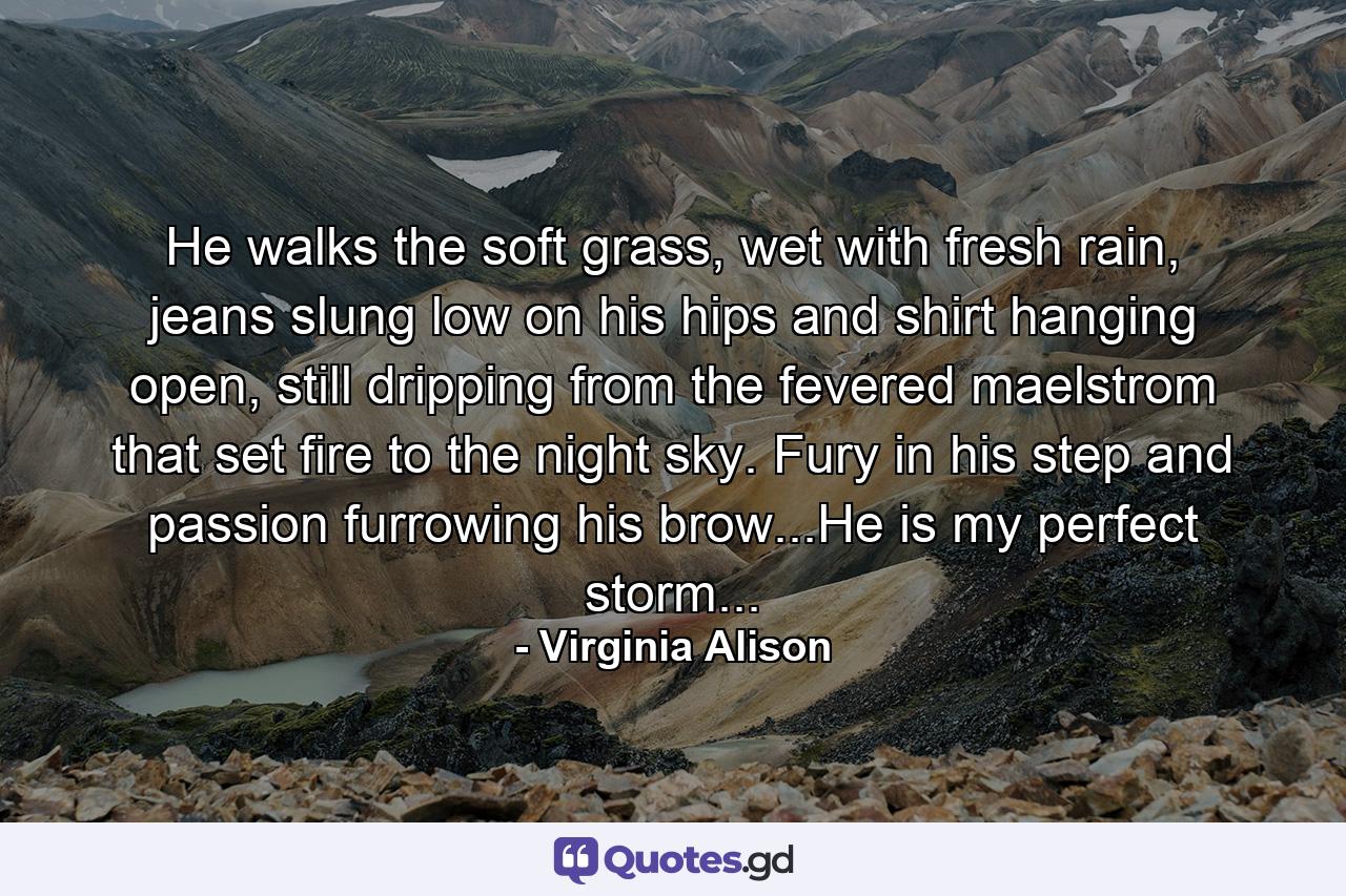 He walks the soft grass, wet with fresh rain, jeans slung low on his hips and shirt hanging open, still dripping from the fevered maelstrom that set fire to the night sky. Fury in his step and passion furrowing his brow...He is my perfect storm... - Quote by Virginia Alison