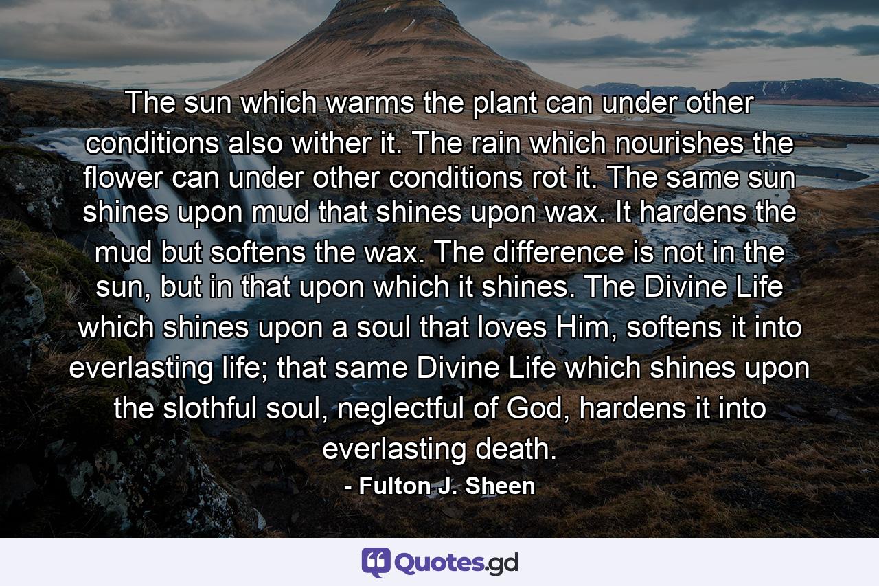 The sun which warms the plant can under other conditions also wither it. The rain which nourishes the flower can under other conditions rot it. The same sun shines upon mud that shines upon wax. It hardens the mud but softens the wax. The difference is not in the sun, but in that upon which it shines. The Divine Life which shines upon a soul that loves Him, softens it into everlasting life; that same Divine Life which shines upon the slothful soul, neglectful of God, hardens it into everlasting death. - Quote by Fulton J. Sheen