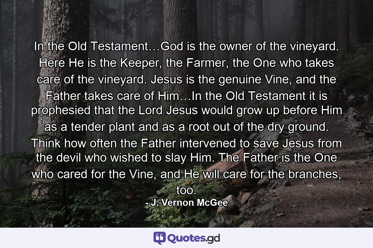 In the Old Testament…God is the owner of the vineyard. Here He is the Keeper, the Farmer, the One who takes care of the vineyard. Jesus is the genuine Vine, and the Father takes care of Him…In the Old Testament it is prophesied that the Lord Jesus would grow up before Him as a tender plant and as a root out of the dry ground. Think how often the Father intervened to save Jesus from the devil who wished to slay Him. The Father is the One who cared for the Vine, and He will care for the branches, too. - Quote by J. Vernon McGee