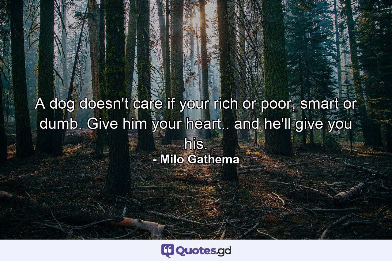 A dog doesn't care if your rich or poor, smart or dumb. Give him your heart.. and he'll give you his. - Quote by Milo Gathema