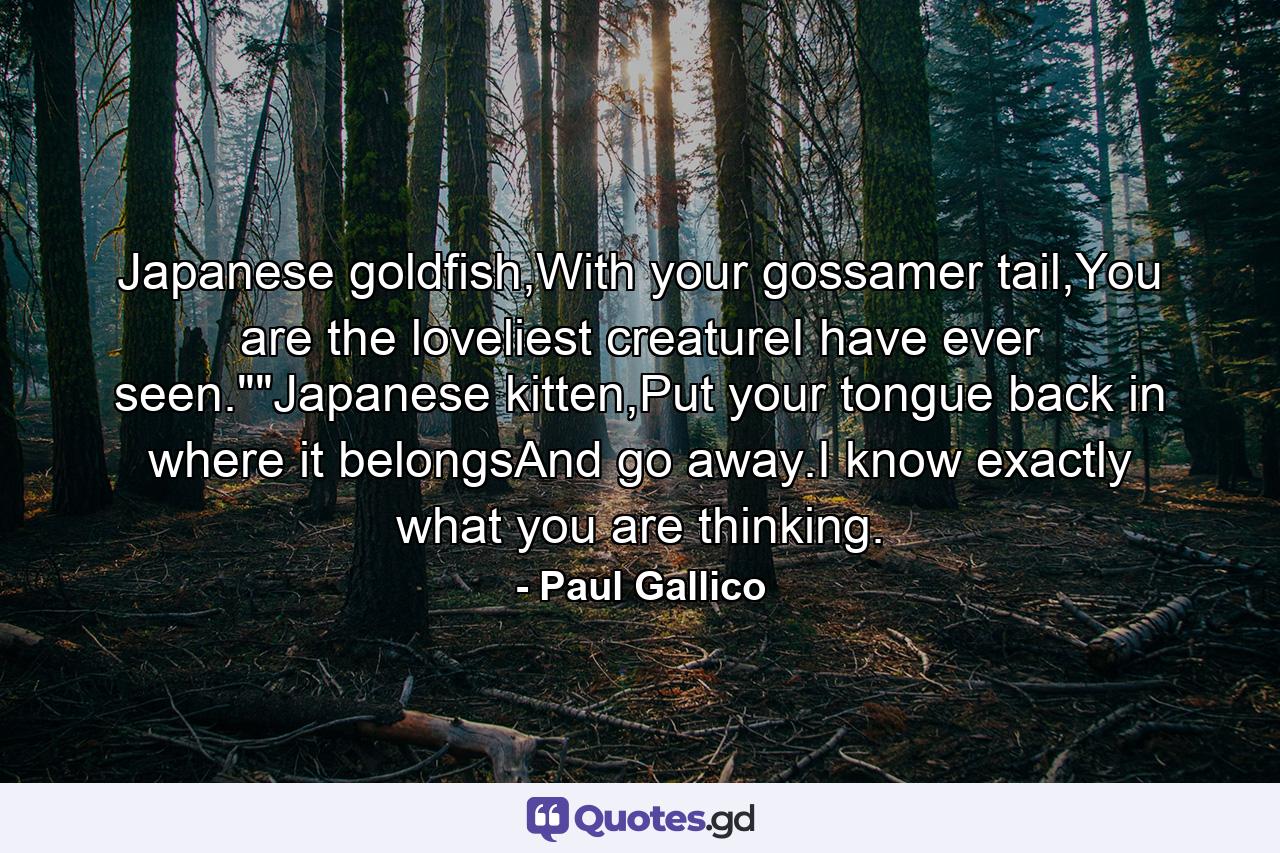 Japanese goldfish,With your gossamer tail,You are the loveliest creatureI have ever seen.