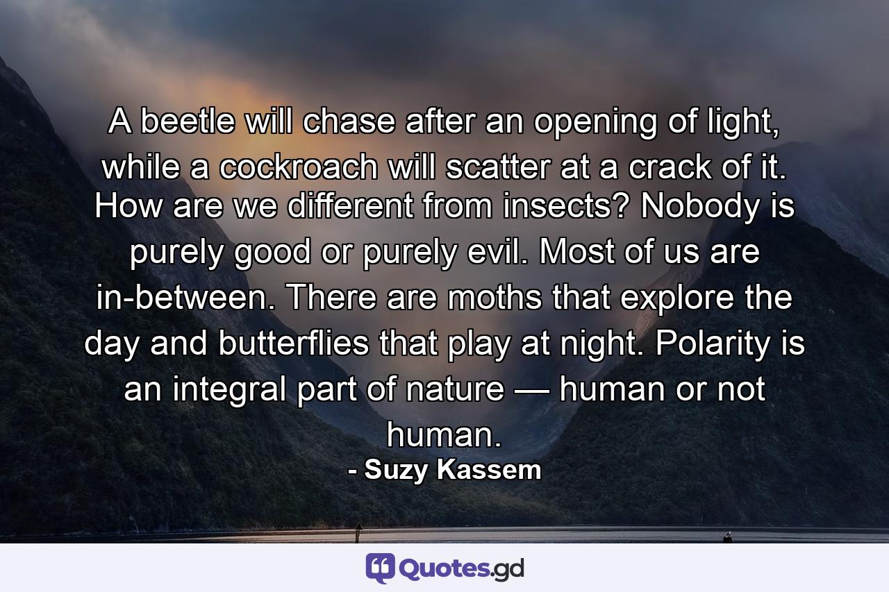 A beetle will chase after an opening of light, while a cockroach will scatter at a crack of it. How are we different from insects? Nobody is purely good or purely evil. Most of us are in-between. There are moths that explore the day and butterflies that play at night. Polarity is an integral part of nature — human or not human. - Quote by Suzy Kassem