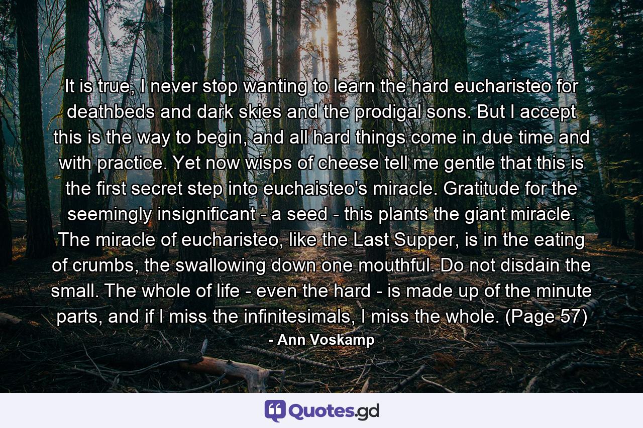 It is true, I never stop wanting to learn the hard eucharisteo for deathbeds and dark skies and the prodigal sons. But I accept this is the way to begin, and all hard things come in due time and with practice. Yet now wisps of cheese tell me gentle that this is the first secret step into euchaisteo's miracle. Gratitude for the seemingly insignificant - a seed - this plants the giant miracle. The miracle of eucharisteo, like the Last Supper, is in the eating of crumbs, the swallowing down one mouthful. Do not disdain the small. The whole of life - even the hard - is made up of the minute parts, and if I miss the infinitesimals, I miss the whole. (Page 57) - Quote by Ann Voskamp