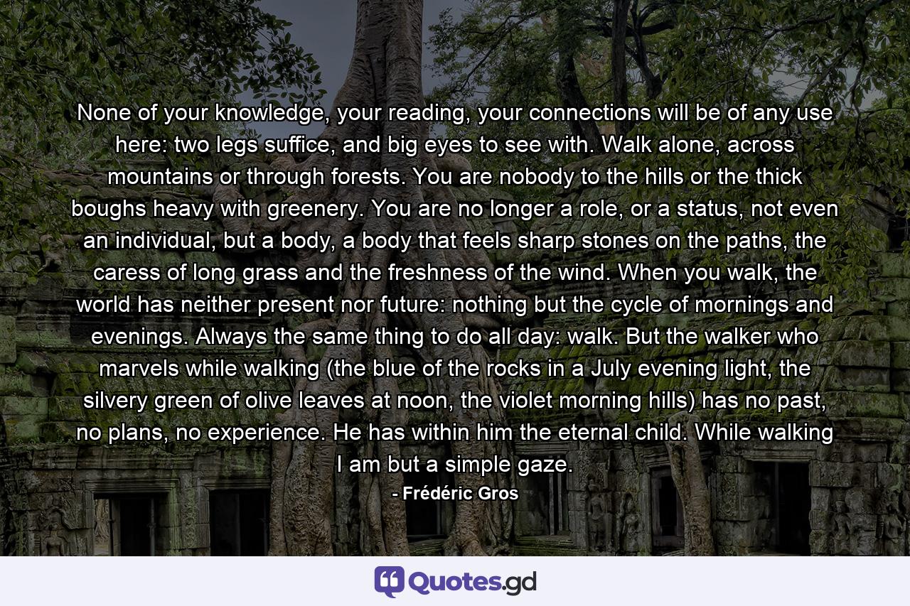 None of your knowledge, your reading, your connections will be of any use here: two legs suffice, and big eyes to see with. Walk alone, across mountains or through forests. You are nobody to the hills or the thick boughs heavy with greenery. You are no longer a role, or a status, not even an individual, but a body, a body that feels sharp stones on the paths, the caress of long grass and the freshness of the wind. When you walk, the world has neither present nor future: nothing but the cycle of mornings and evenings. Always the same thing to do all day: walk. But the walker who marvels while walking (the blue of the rocks in a July evening light, the silvery green of olive leaves at noon, the violet morning hills) has no past, no plans, no experience. He has within him the eternal child. While walking I am but a simple gaze. - Quote by Frédéric Gros