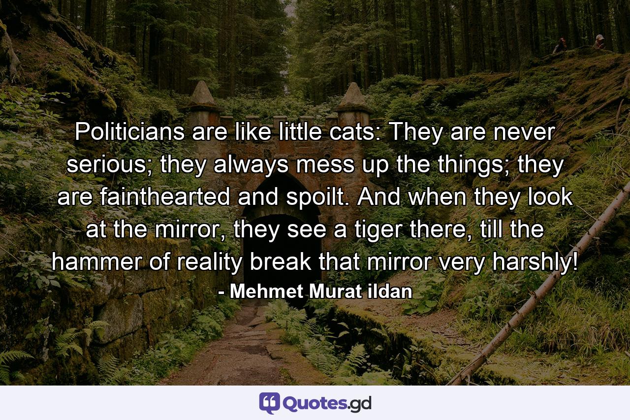 Politicians are like little cats: They are never serious; they always mess up the things; they are fainthearted and spoilt. And when they look at the mirror, they see a tiger there, till the hammer of reality break that mirror very harshly! - Quote by Mehmet Murat ildan