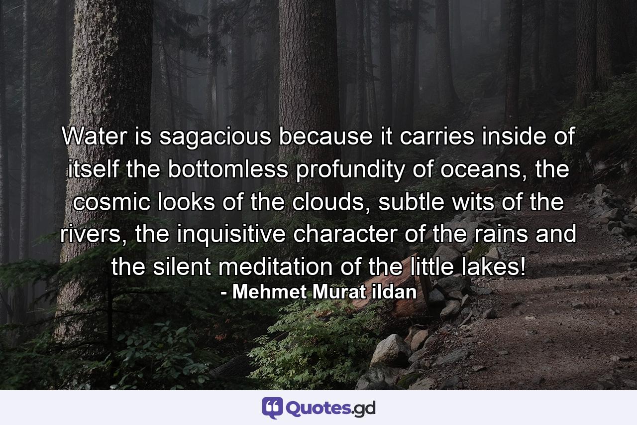 Water is sagacious because it carries inside of itself the bottomless profundity of oceans, the cosmic looks of the clouds, subtle wits of the rivers, the inquisitive character of the rains and the silent meditation of the little lakes! - Quote by Mehmet Murat ildan