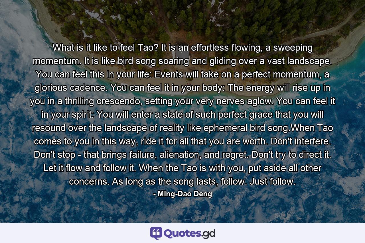 What is it like to feel Tao? It is an effortless flowing, a sweeping momentum. It is like bird song soaring and gliding over a vast landscape. You can feel this in your life: Events will take on a perfect momentum, a glorious cadence. You can feel it in your body: The energy will rise up in you in a thrilling crescendo, setting your very nerves aglow. You can feel it in your spirit: You will enter a state of such perfect grace that you will resound over the landscape of reality like ephemeral bird song.When Tao comes to you in this way, ride it for all that you are worth. Don't interfere. Don't stop - that brings failure, alienation, and regret. Don't try to direct it. Let it flow and follow it. When the Tao is with you, put aside all other concerns. As long as the song lasts, follow. Just follow. - Quote by Ming-Dao Deng