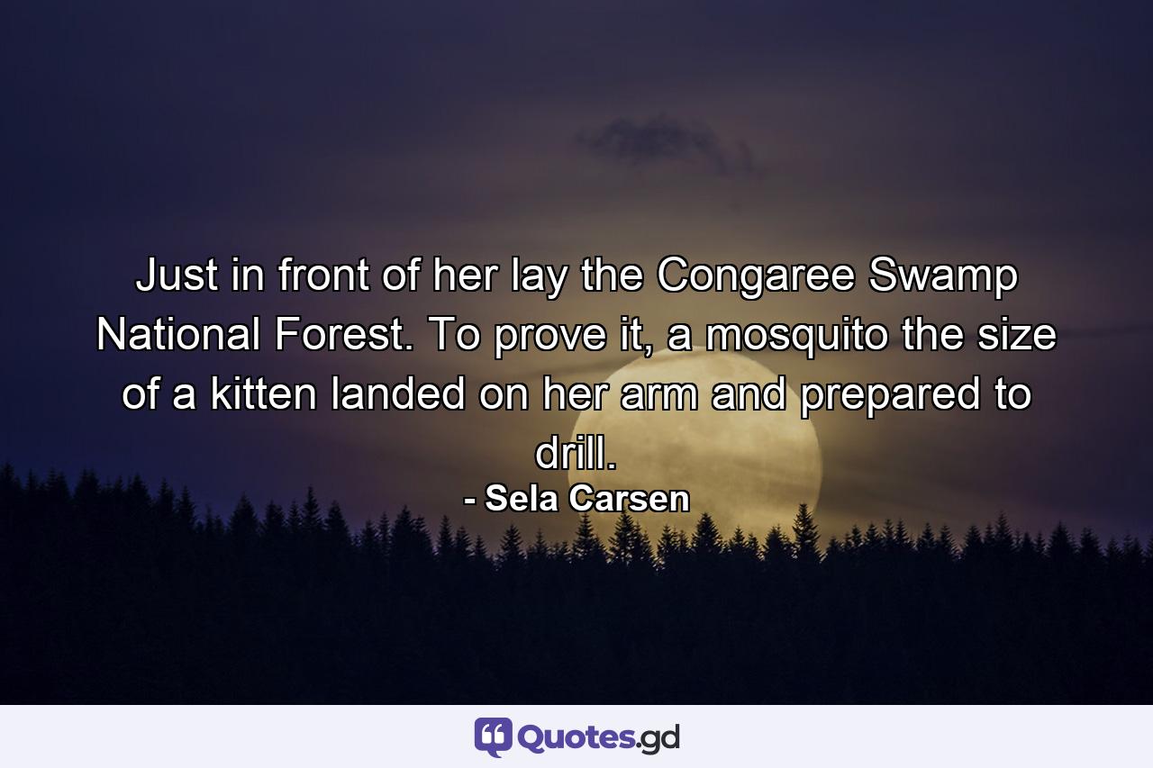 Just in front of her lay the Congaree Swamp National Forest. To prove it, a mosquito the size of a kitten landed on her arm and prepared to drill. - Quote by Sela Carsen