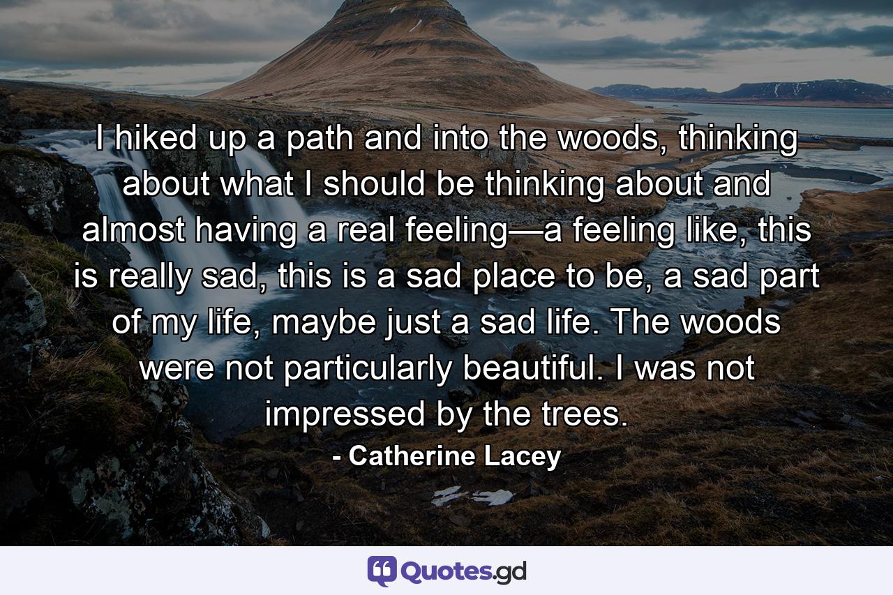 I hiked up a path and into the woods, thinking about what I should be thinking about and almost having a real feeling—a feeling like, this is really sad, this is a sad place to be, a sad part of my life, maybe just a sad life. The woods were not particularly beautiful. I was not impressed by the trees. - Quote by Catherine Lacey