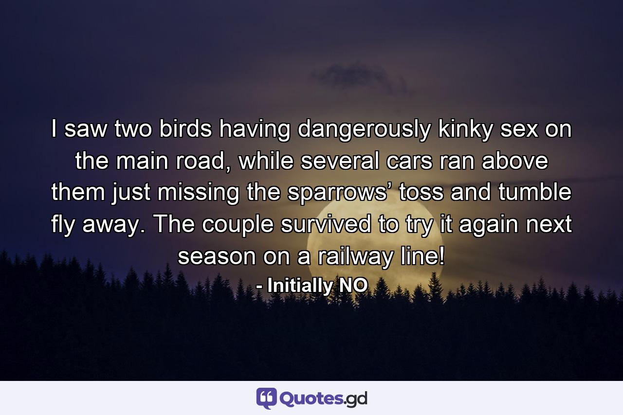 I saw two birds having dangerously kinky sex on the main road, while several cars ran above them just missing the sparrows’ toss and tumble fly away. The couple survived to try it again next season on a railway line! - Quote by Initially NO