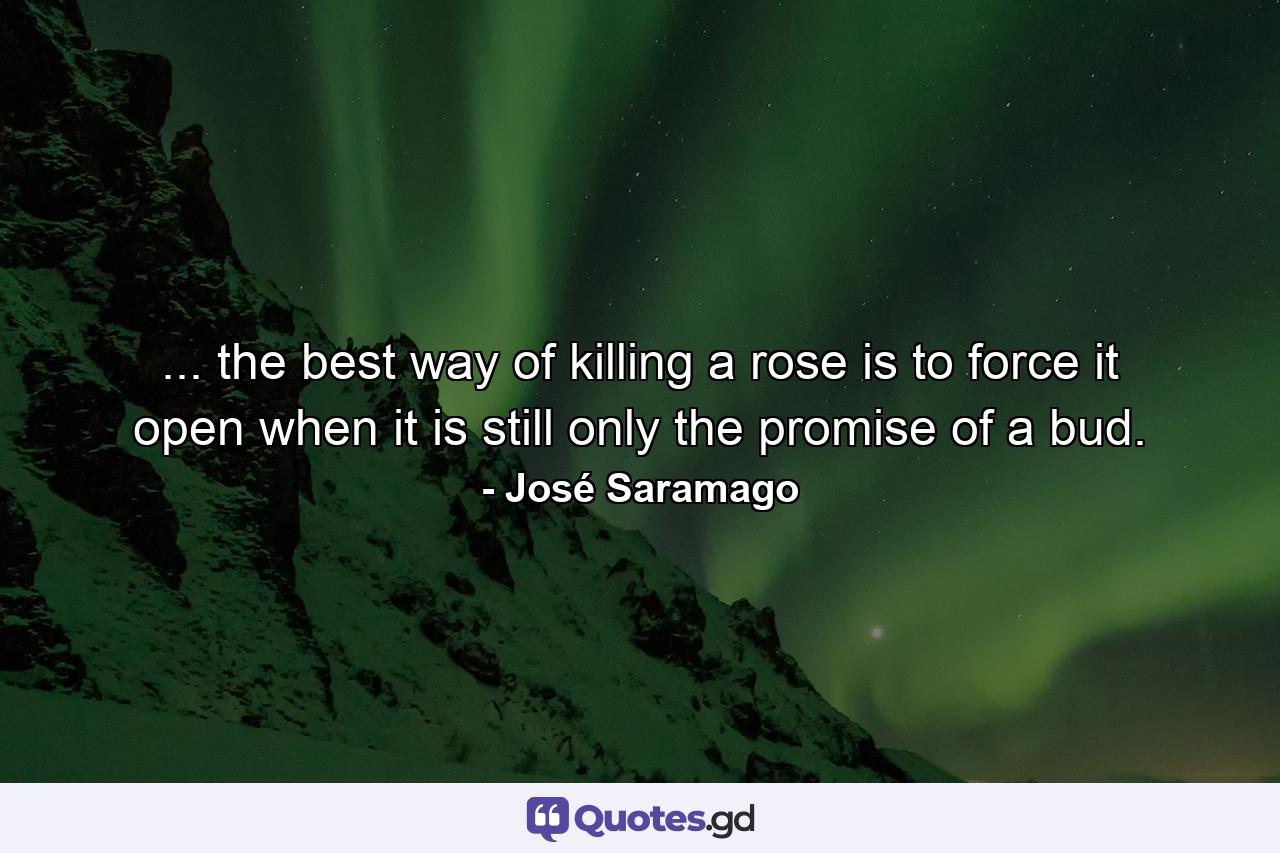 ... the best way of killing a rose is to force it open when it is still only the promise of a bud. - Quote by José Saramago