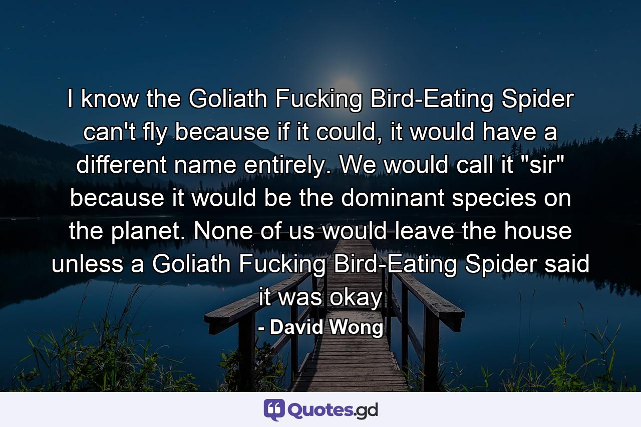 I know the Goliath Fucking Bird-Eating Spider can't fly because if it could, it would have a different name entirely. We would call it 