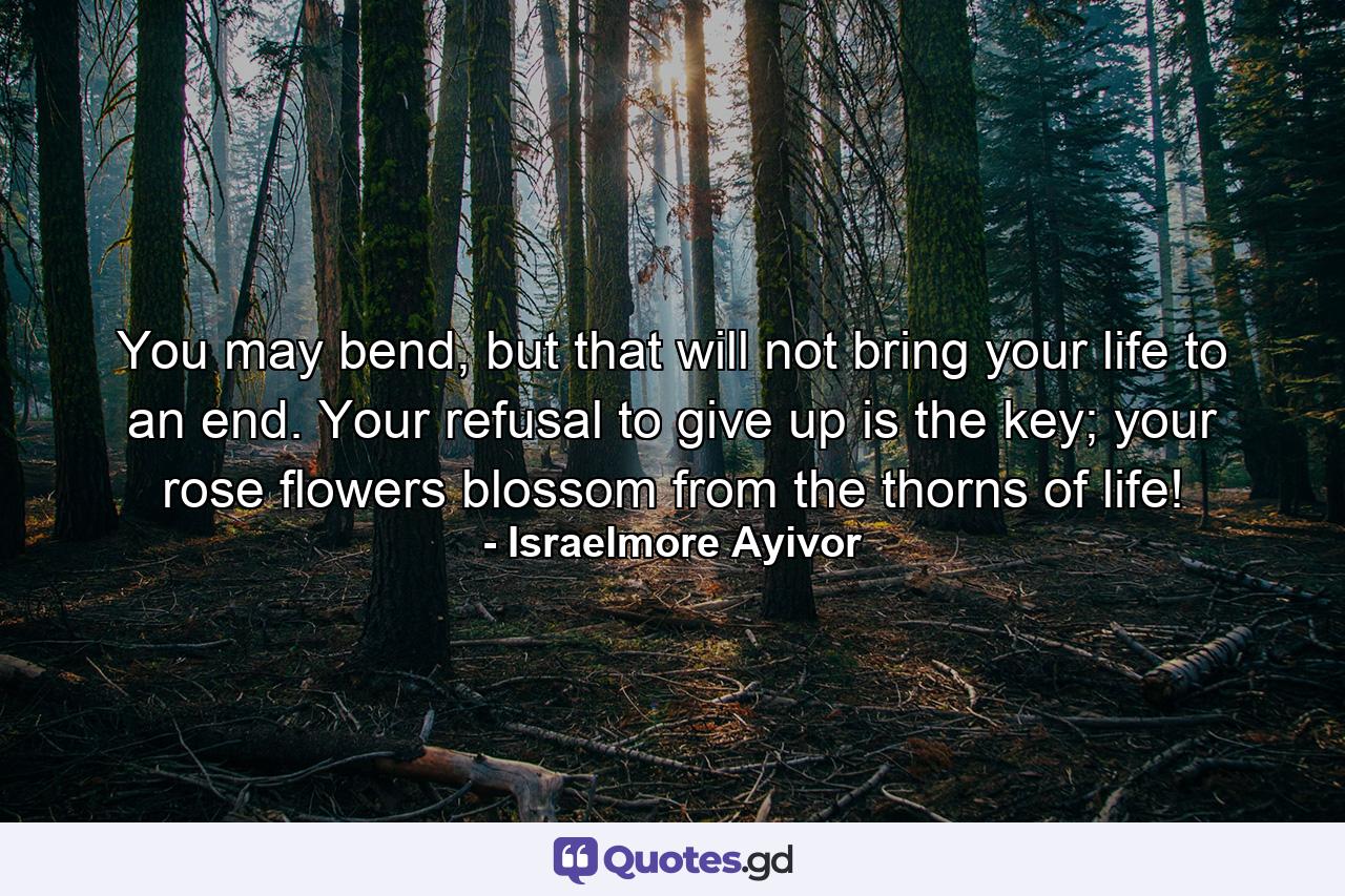 You may bend, but that will not bring your life to an end. Your refusal to give up is the key; your rose flowers blossom from the thorns of life! - Quote by Israelmore Ayivor