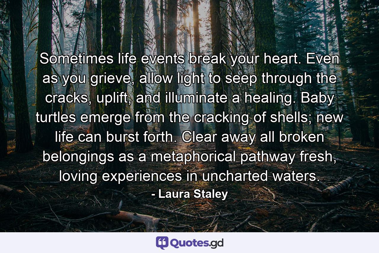 Sometimes life events break your heart. Even as you grieve, allow light to seep through the cracks, uplift, and illuminate a healing. Baby turtles emerge from the cracking of shells; new life can burst forth. Clear away all broken belongings as a metaphorical pathway fresh, loving experiences in uncharted waters. - Quote by Laura Staley