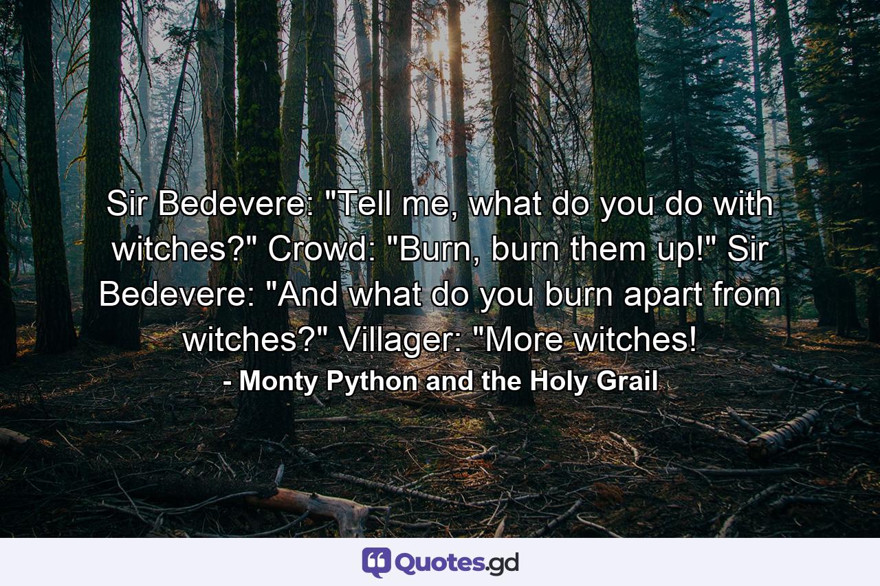 Sir Bedevere: 