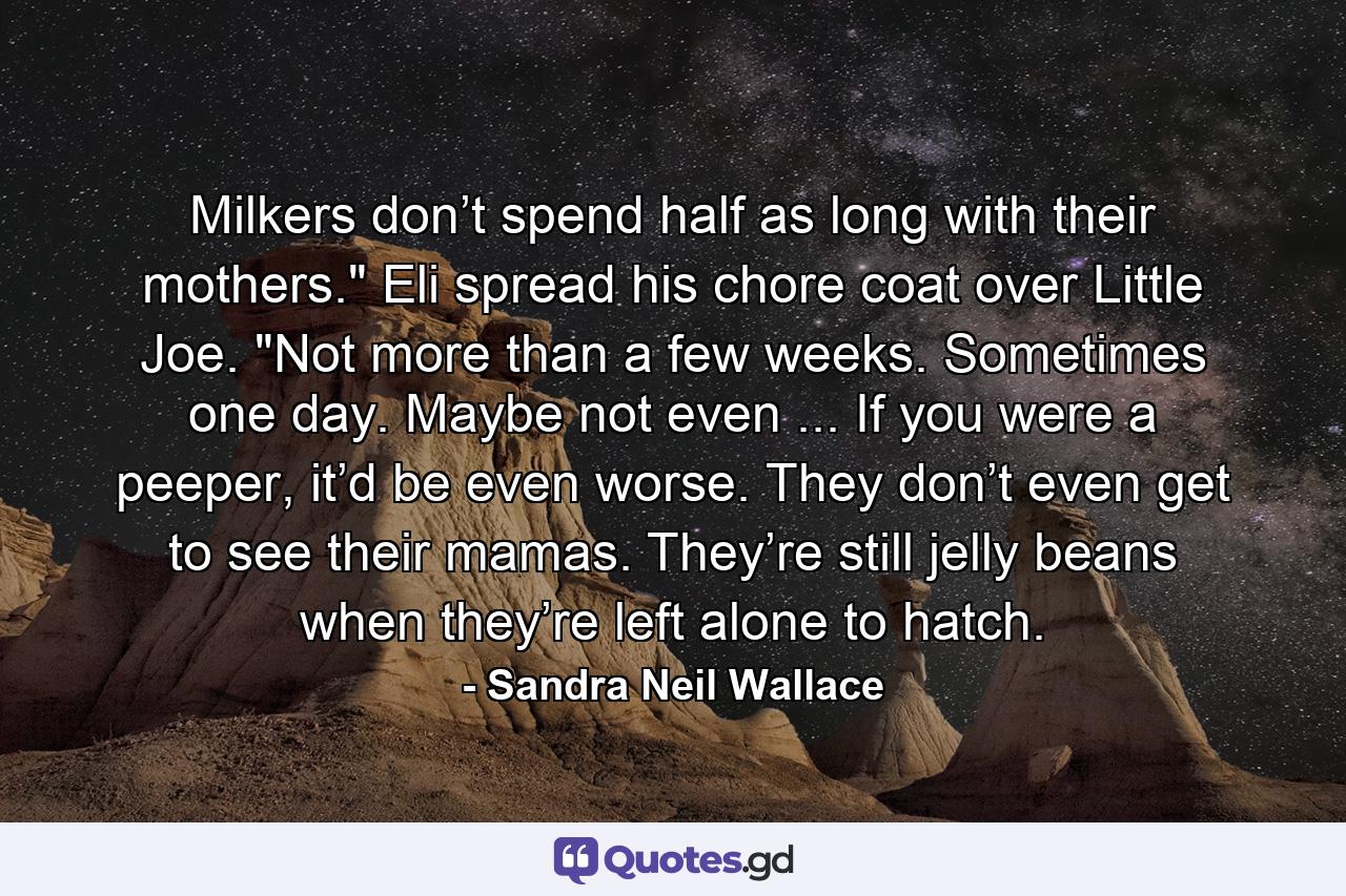 Milkers don’t spend half as long with their mothers.