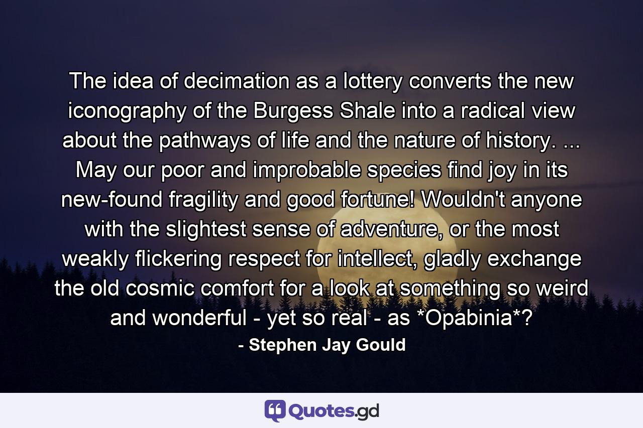 The idea of decimation as a lottery converts the new iconography of the Burgess Shale into a radical view about the pathways of life and the nature of history. ... May our poor and improbable species find joy in its new-found fragility and good fortune! Wouldn't anyone with the slightest sense of adventure, or the most weakly flickering respect for intellect, gladly exchange the old cosmic comfort for a look at something so weird and wonderful - yet so real - as *Opabinia*? - Quote by Stephen Jay Gould