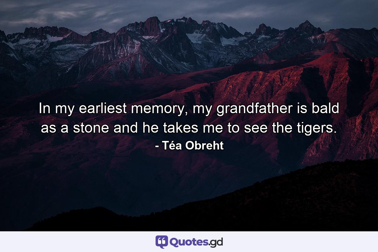 In my earliest memory, my grandfather is bald as a stone and he takes me to see the tigers. - Quote by Téa Obreht