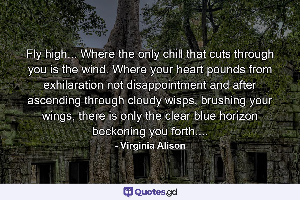 Fly high... Where the only chill that cuts through you is the wind. Where your heart pounds from exhilaration not disappointment and after ascending through cloudy wisps, brushing your wings, there is only the clear blue horizon beckoning you forth.... - Quote by Virginia Alison