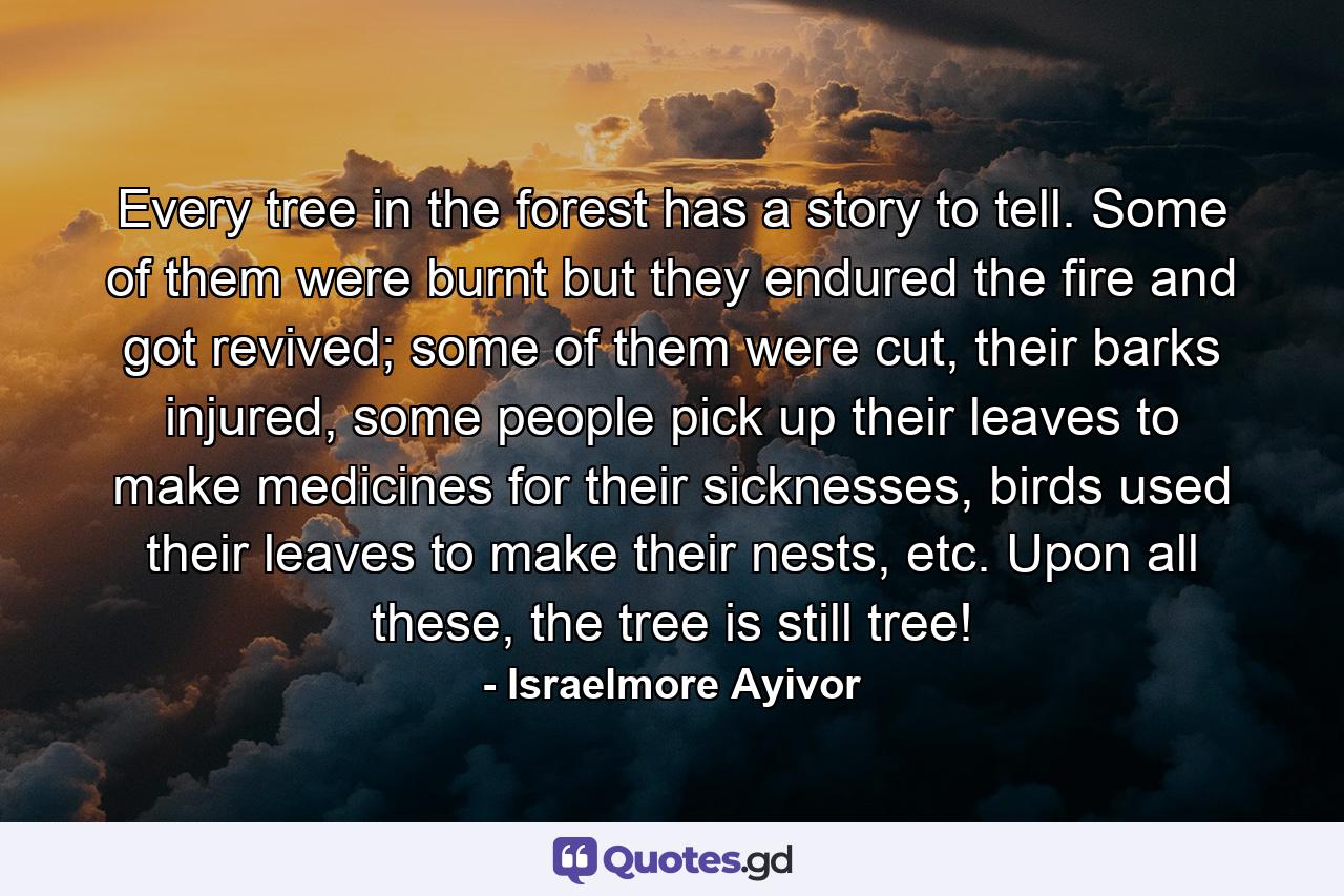 Every tree in the forest has a story to tell. Some of them were burnt but they endured the fire and got revived; some of them were cut, their barks injured, some people pick up their leaves to make medicines for their sicknesses, birds used their leaves to make their nests, etc. Upon all these, the tree is still tree! - Quote by Israelmore Ayivor