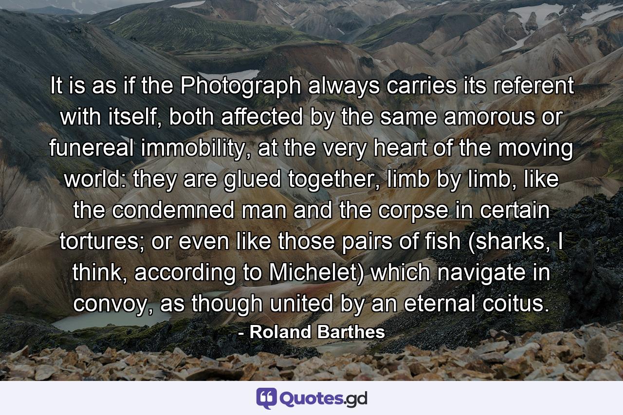 It is as if the Photograph always carries its referent with itself, both affected by the same amorous or funereal immobility, at the very heart of the moving world: they are glued together, limb by limb, like the condemned man and the corpse in certain tortures; or even like those pairs of fish (sharks, I think, according to Michelet) which navigate in convoy, as though united by an eternal coitus. - Quote by Roland Barthes