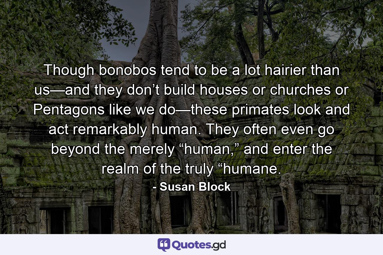 Though bonobos tend to be a lot hairier than us—and they don’t build houses or churches or Pentagons like we do—these primates look and act remarkably human. They often even go beyond the merely “human,” and enter the realm of the truly “humane. - Quote by Susan Block