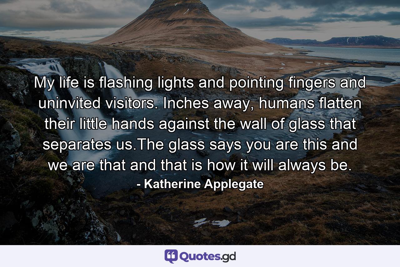 My life is flashing lights and pointing fingers and uninvited visitors. Inches away, humans flatten their little hands against the wall of glass that separates us.The glass says you are this and we are that and that is how it will always be. - Quote by Katherine Applegate